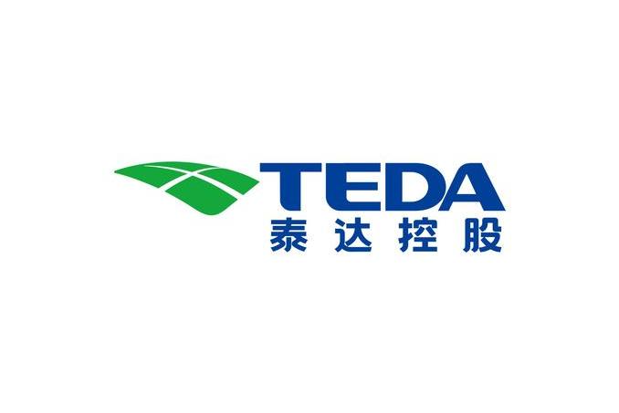 泰达控股